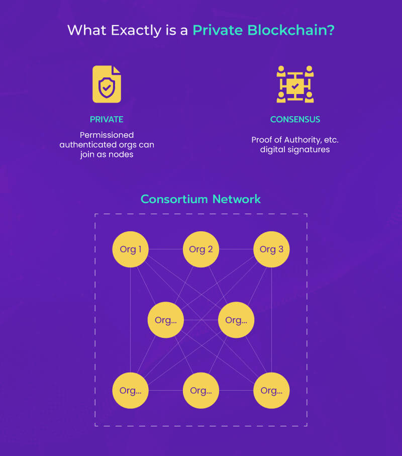 Securing Transactions: Private Blockchain Network Essentials