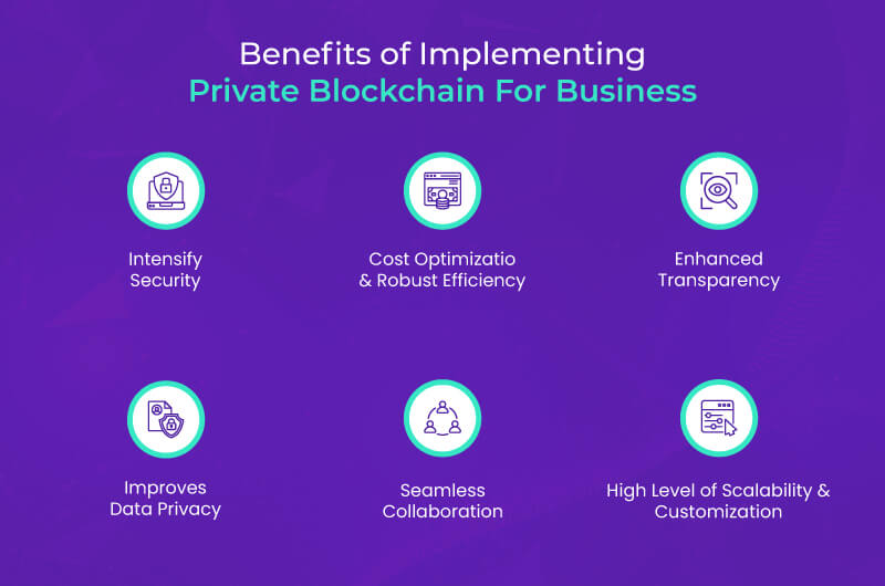 Private Blockchain for Business