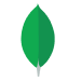 mongodb