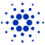 blockchain networks blockchain networks