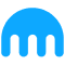 blockchain networks