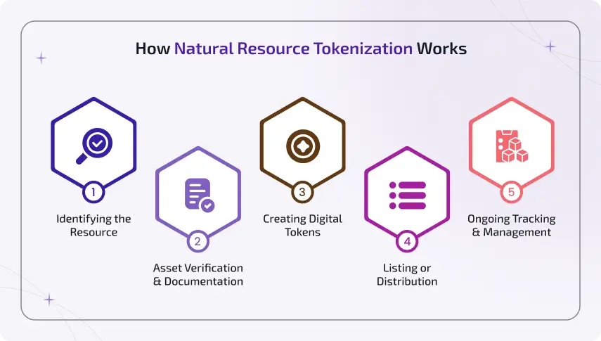 how natural resource tokenization works