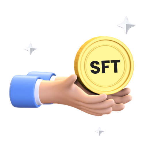 semi fungible token development process