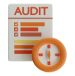Auditing and Testing Services